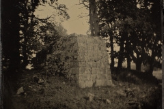 130813_img_img_0012