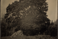 IMG_IMG_0020
