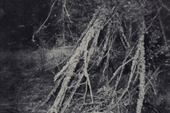 SKR-02
